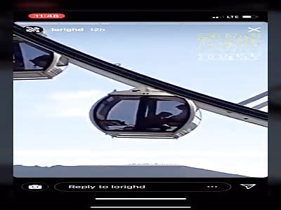 Should have gone to coachella