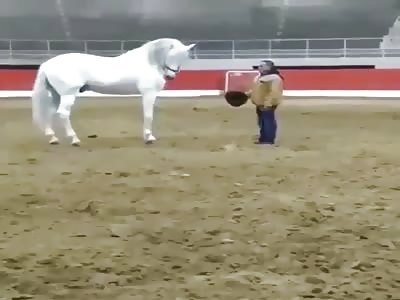 What that horses problem.