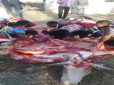 Acting like wild animals eating that raw ass beef