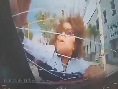 Surprise Windshield Accessory