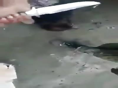 UAE soldiers torture Yemeni soldier