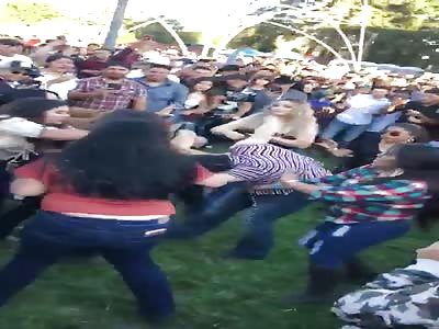 Less violence more dancing