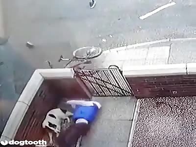 No fucks given by the dog