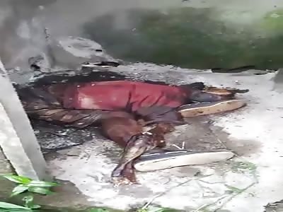 dead corps of african activists killed by government