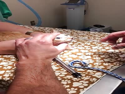 excuse me what the fuck !!!!!!