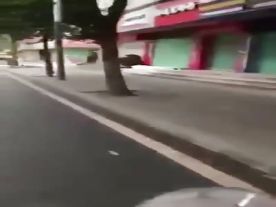 dead body's all long the road in china