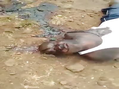 Farmers executed by army in Cameron 