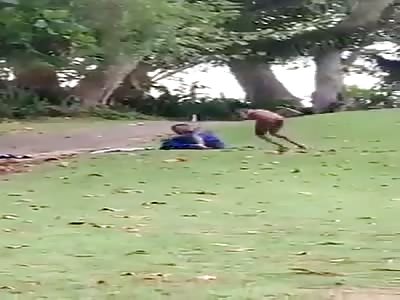 Black couple fucking outdoor busted by security guards 