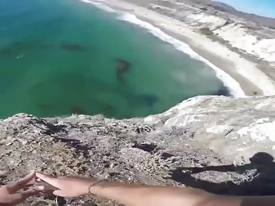 Asshole break his two legs in very shocking fall