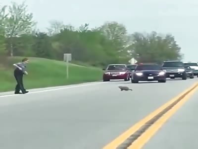 [Compilation of police brutality]thugs in uniform, they are deadly