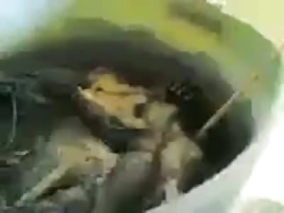 black Libyans boiled to death because they had different skin color 