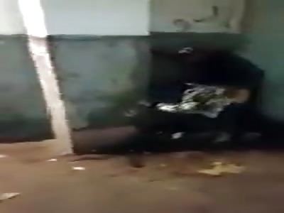 Moroccan caught fucking prostitute in Casablanca street 