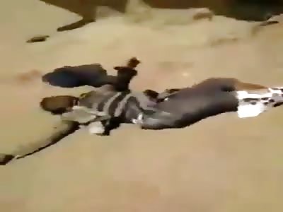 Dead bodies of Houthi mercenaries all over the Yemeni desert 