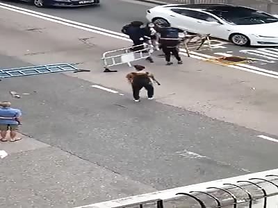 Chinese girl gets beating for passing protester barrage 