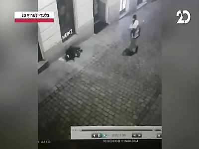 Video shows young man shot dead by terrorist in the centre of Vienna t