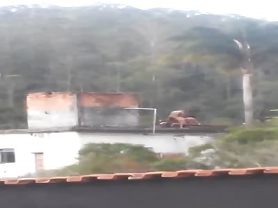 Brazilian couple filmed fucking on the roof 