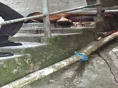 Gang member killed by police in Brazilian favela.