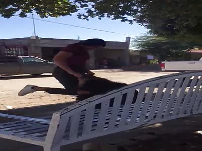 One girl beats another without mercy.