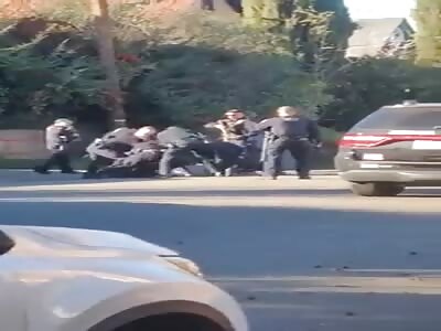 White Man is kicked, punched, and stomped by cops while being bitten b