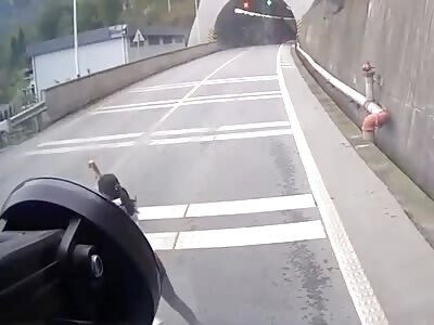 Stupid Woman Doesn't Look Both Ways Before Crossing Road