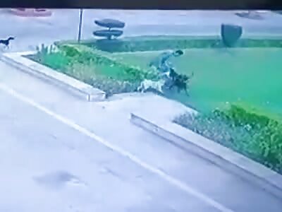 Indian man standing alone attacked by group of stray dogs 