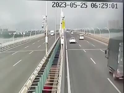 Car stops in middle of highway,the stupid driver killed on the spot 