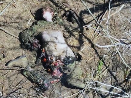 Merciless Manhunt Ends with Russian's Creepy Gasp