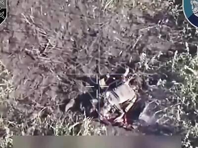 Dead Russians comp II (August 7, 2025)