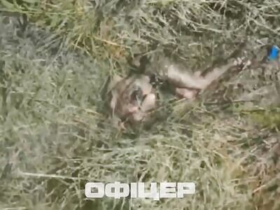 Dead Russians comp (August 8, 2025)