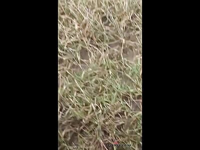 truck gave him a one-way ticket