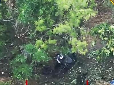 Dead Russians comp (August 9, 2025)