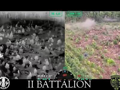 Dead Russians comp II (August 9, 2025)