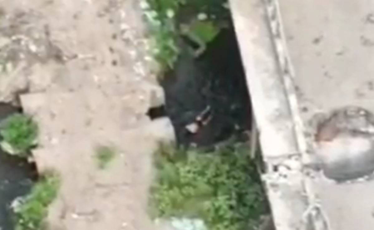 Ukrainian frogman is droned. 