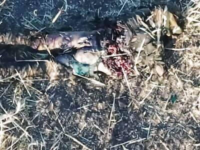 Dead Russians comp (August 10, 2025)