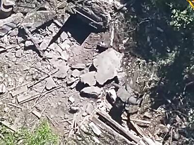 Dead Russians comp (August 11, 2025)