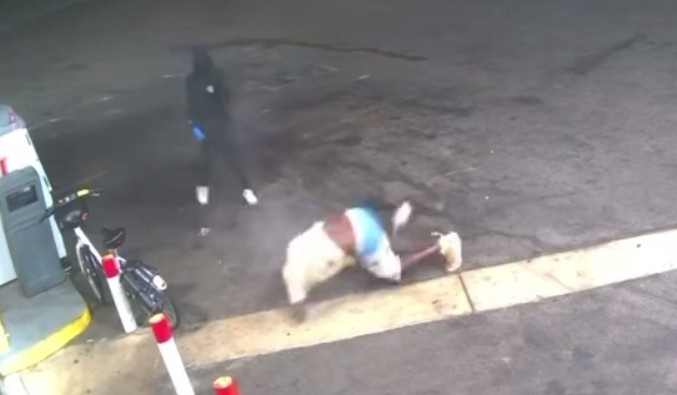 Looks Like Colombia or Brazil? No This Is USA