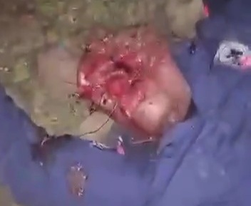 Two Haitian police officers killed by gang members 