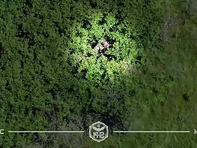 Dead Russians comp IV (August 18, 2025)