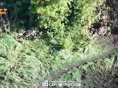 Dead Russians comp (August 19, 2025)