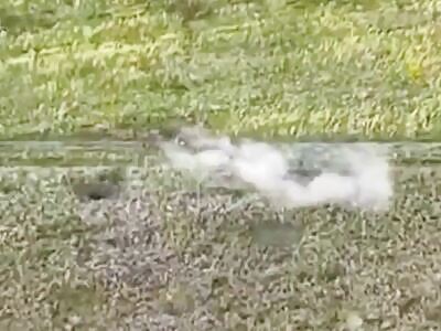 Dead Russians comp III (August 19, 2025)