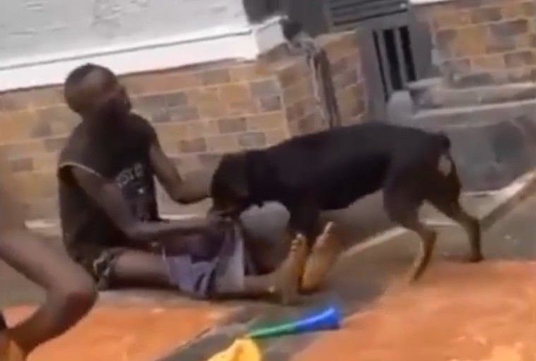 Property Invader Meets Rottweiler And Machete