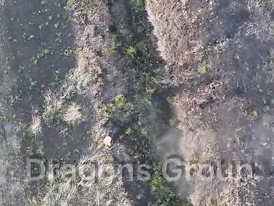 Dead Russians comp (August 29, 2025)