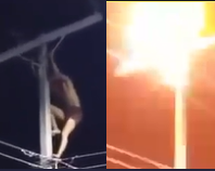 Man Gets 10,000 Volts Electric Shock After Climbing Pole