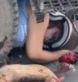 Female Biker Mangled Under Truck
