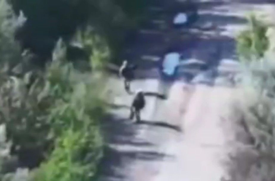 Hunting wild ukrats -12. 