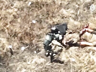 Dead Russians comp (September 2, 2025)