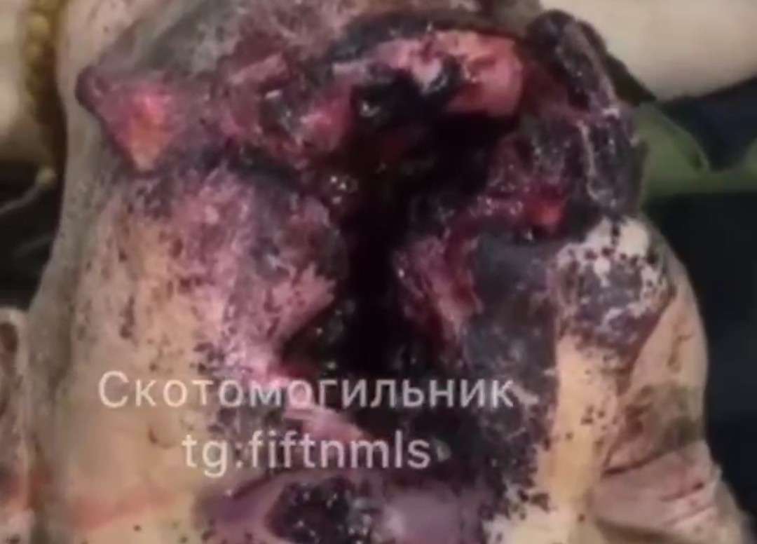 How this motherfucker is still alive. 