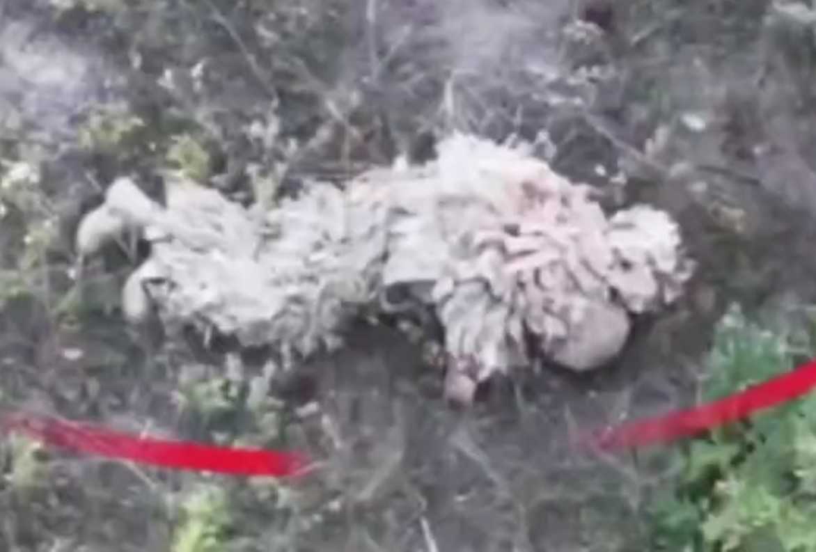 2 Ukrainian snipers killed by Russian drones. 