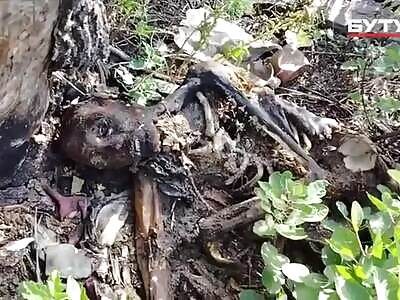 Dead Russians comp II (September 4, 2025)