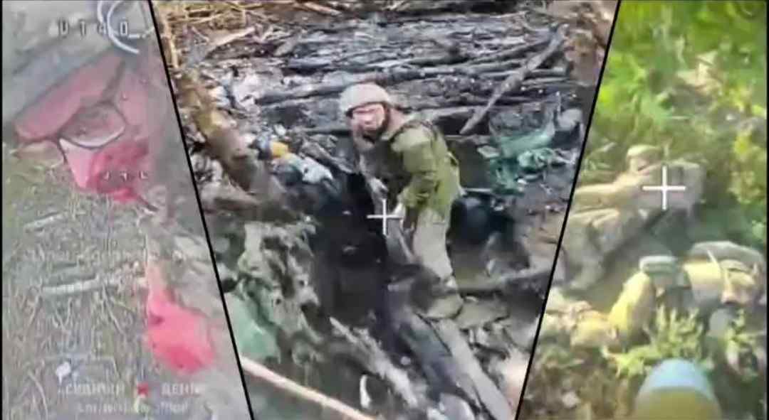 Ukrainian genocide, minus 54 Ukrats